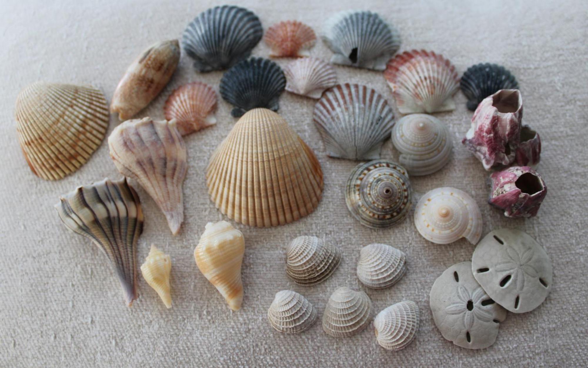 Beach Glass - Island Getaway คอร์ปัสคริสตี ภายนอก รูปภาพ